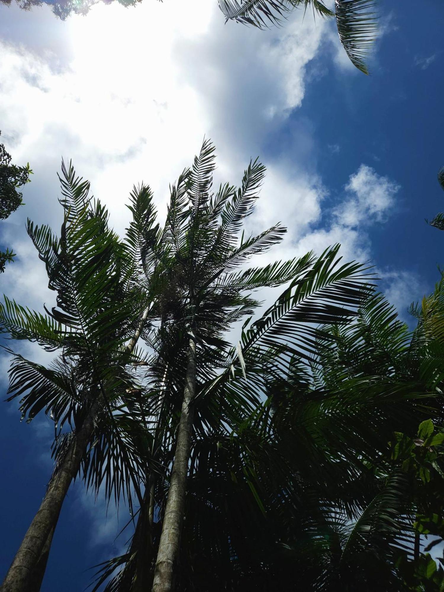 Pousada Ilha Verde Itacare Ngoại thất bức ảnh